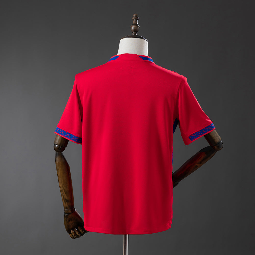 Camiseta Noruega ( local ) 2026